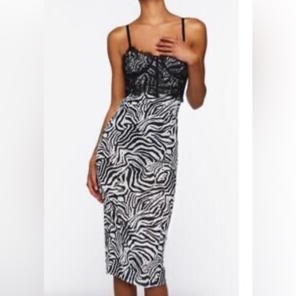 Dresses & Skirts - Mesh Body con Semi Sheer Black White Zebra Print Dress w Bustier Type Lace Top